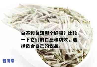 普洱茶和古树白茶哪个好喝点，口感对决：普洱茶与古树白茶，谁更胜一筹？