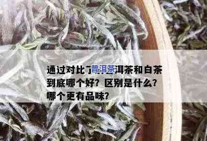 普洱茶和古树白茶哪个好喝点，口感对决：普洱茶与古树白茶，谁更胜一筹？