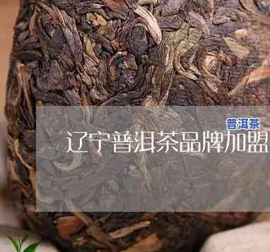 辽宁加盟普洱茶推荐：上的专业建议