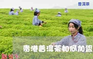 贵港普洱茶怎样代理销售，揭秘贵港普洱茶代理销售的秘诀！