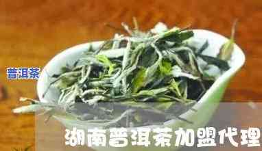 长沙普洱茶怎样加盟的，想加盟长沙普洱茶？看这里！