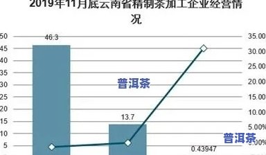 普洱茶现状与未来发展：趋势与前景分析