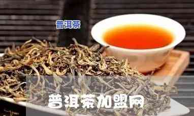 新余普洱茶招商加盟电话：获取联系方法与详细地址