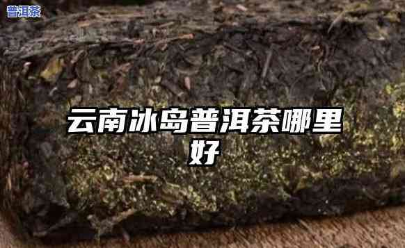 普洱冰岛茶哪里好喝-普洱冰岛茶哪里好喝一点