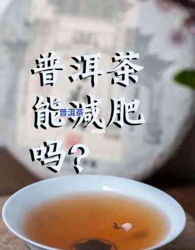 喝普洱茶有减肥的作用吗，探究普洱茶的减肥效果：真的有效吗？