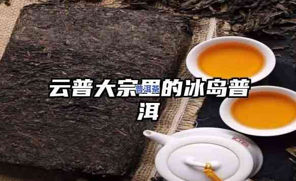 普洱茶冰岛的泡法，详解普洱茶冰岛的冲泡方法