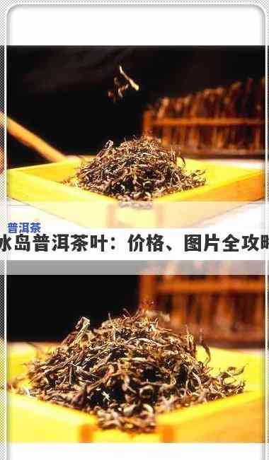 最新梅州普洱冰岛茶采购价格表查询