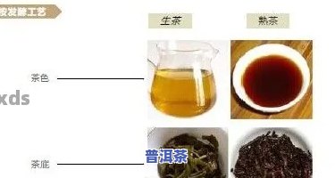 普洱红茶制作过程：是不是添加香精？视频解析