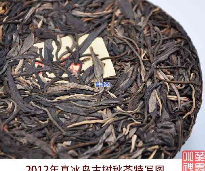 普洱冰岛茶哪里买好-普洱冰岛茶哪里买好喝