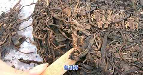 陈年熟普洱茶开瓶盖方法详解：视频 图解