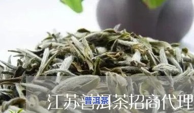 泰州普洱茶代理公司及其联系方法全览