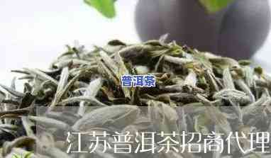 泰州普洱茶代理-泰州普洱茶代理电话