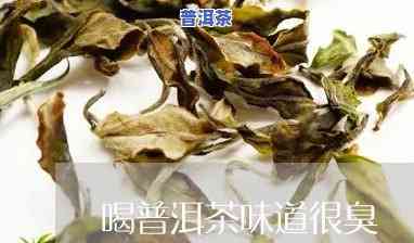 普洱茶泡出来闻的怎么有的臭，揭秘：为什么有些普洱茶泡出来有臭味？