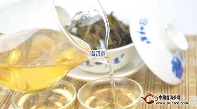 普洱冰岛什么茶更好闻，探索普洱冰岛茶的香气世界：哪种茶叶最令人陶醉？