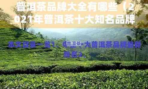 七大经典普洱茶排行榜-七大经典普洱茶排行榜最新