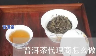 正规普洱茶代理条件有哪些，揭秘正规普洱茶代理的条件，你必须知道！