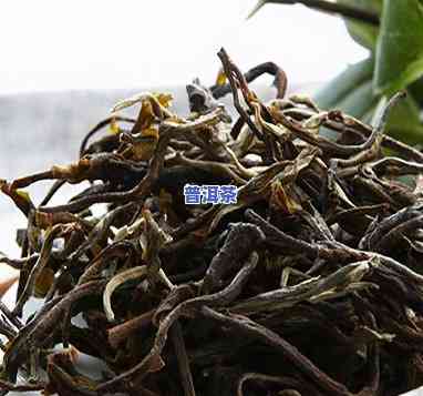 七大经典普洱茶品种有哪些图片，探索普洱茶的魅力：熟悉七大经典品种的图片