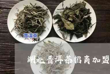 湖州高端普洱茶招商-湖州高端普洱茶招商电话