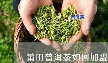 莆田普洱茶加盟代理店，加入咱们，成为莆田普洱茶的代理商！