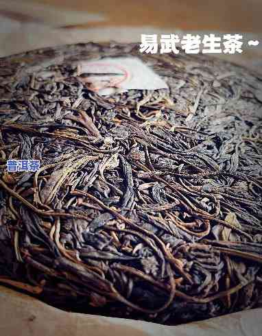 陈年生普洱茶第几泡回甘好，「陈年生普洱茶」第几泡回甘更好？茶艺专家解析