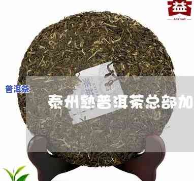 泰州普洱茶总部代理-泰州普洱茶总部代理电话