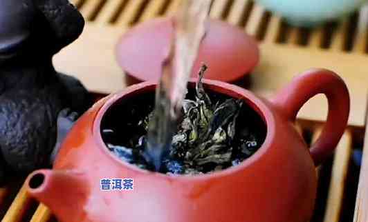 冰岛普洱茶能否煮着喝？正确方法是什么？