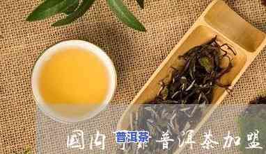 青岛可靠普洱茶招商-青岛可靠普洱茶招商电话