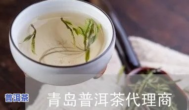 青岛可靠普洱茶招商-青岛可靠普洱茶招商电话