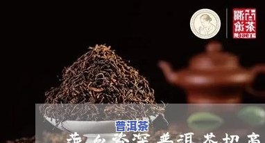 浙江高端普洱茶招商-浙江高端普洱茶招商平台