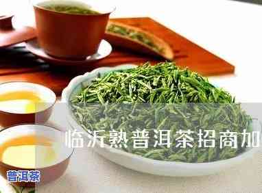 临沂普洱茶招商条件-临沂普洱茶招商条件是什么