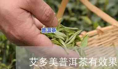 艾多美普洱茶产品真实感受-艾多美普洱茶怎么样