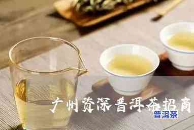 钦州知名普洱茶招商电话，钦州普洱茶招商：知名的联系电话在这里！