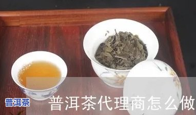 知名普洱茶代理条件，揭秘知名普洱茶代理条件，成为成功代理商的之一步！