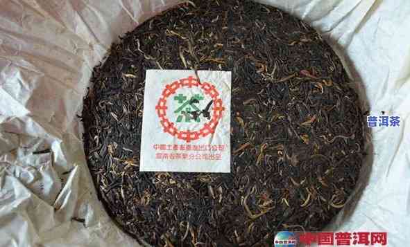 普洱茶饼每年什么时候上市-普洱茶饼每年什么时候上市的