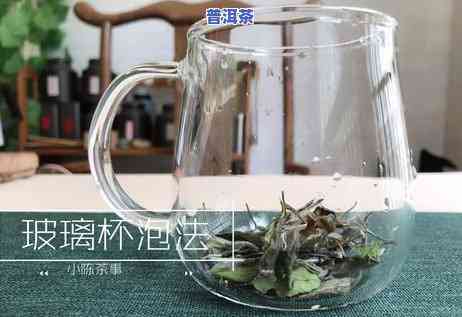 普洱茶可以用大玻璃杯泡吗-普洱茶可以用大玻璃杯泡吗为什么