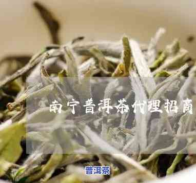 南宁资深普洱茶招商电话及地址全公开