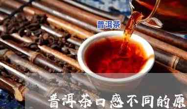 普洱茶为何难以下咽：探究其口感疑问与文化差异