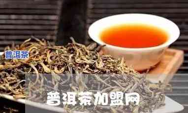 普洱茶代理加盟需要多少钱，揭秘普洱茶代理加盟的费用：你需要知道多少？