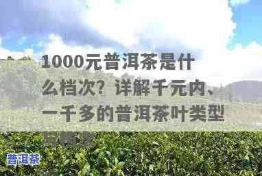 1000元一斤的普洱茶叶档次，奢华享受：品尝1000元一斤的顶级普洱茶叶！