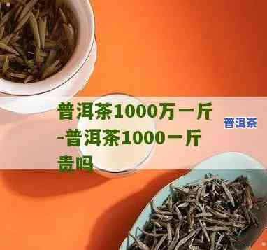 1000元一斤的普洱茶叶档次，奢华享受：品尝1000元一斤的顶级普洱茶叶！