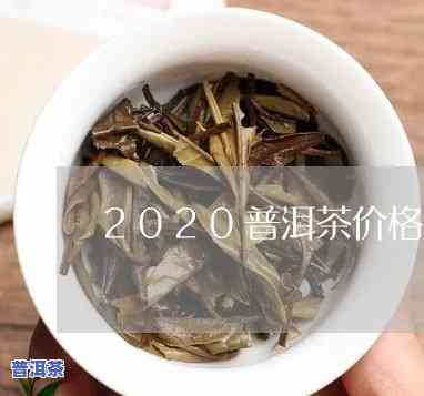 薄荷塘普洱茶价格2020全览：最新行情与趋势分析