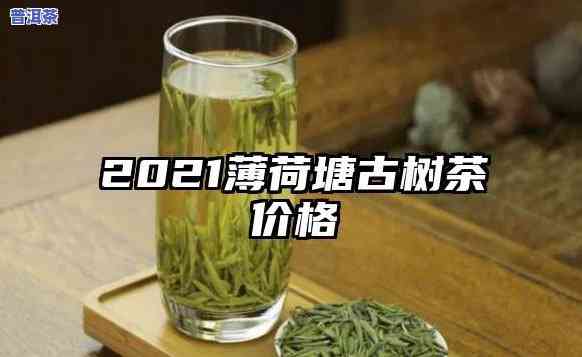 薄荷塘古树纯料普洱茶价格全揭秘！最新行情及购买建议