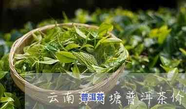 2017兴海薄荷塘普洱茶-薄荷塘普洱茶价格2020