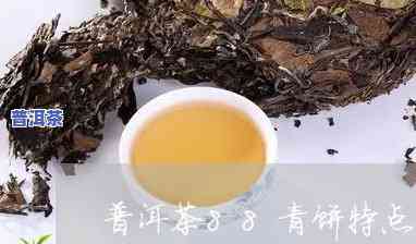 八八青普洱茶特点，探秘八八青普洱茶的特别魅力与特点