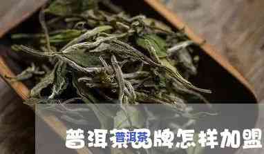 贵州普洱茶招商-贵州普洱茶招商电话