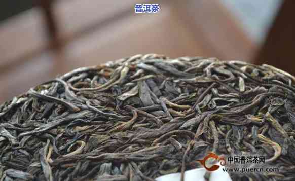 普洱茶茶魁是什么茶种图片，「揭秘」普洱茶茶魁的神秘面纱：它是何茶种？附精美图片