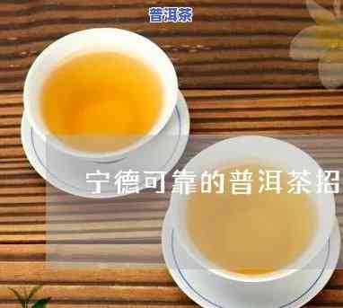 宁德高端普洱茶招商，寻找商机：宁德高端普洱茶诚邀全国代理商加入