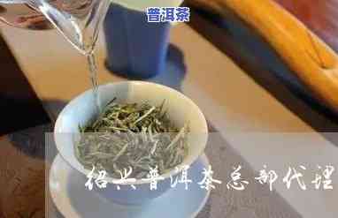 绍兴普洱茶总部招商-绍兴普洱茶总部招商电话