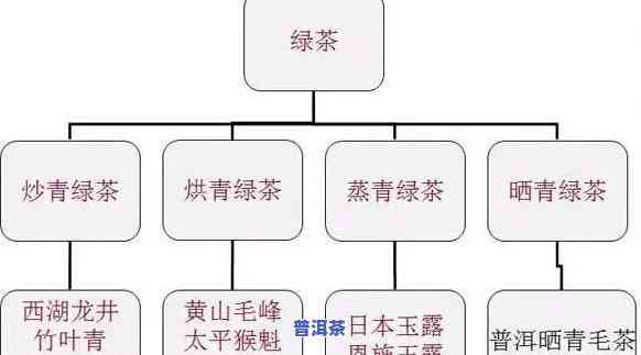 普洱茶条索：香型、种类与茶具全面解析