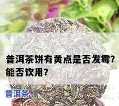 普洱茶有黄色点点，揭秘：为什么普洱茶会出现黄色点点？